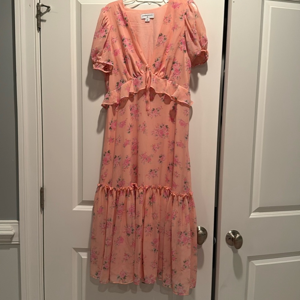 Love Shack Fancy dress size 8